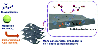 Graphical abstract: Molybdenum carbide promotion on Fe–N-doped carbon nanolayers facilely prepared for enhanced oxygen reduction