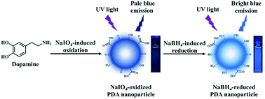Graphical abstract: Redox modulation of polydopamine surface chemistry: a facile strategy to enhance the intrinsic fluorescence of polydopamine nanoparticles for sensitive and selective detection of Fe3+
