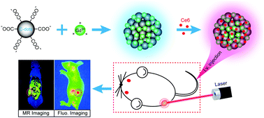 Graphical abstract: Gd3+-Ion-induced carbon-dots self-assembly aggregates loaded with a photosensitizer for enhanced fluorescence/MRI dual imaging and antitumor therapy