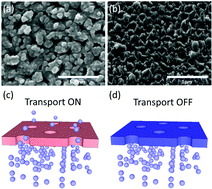 Graphical abstract: Electrically gated nanoporous membranes for smart molecular flow control