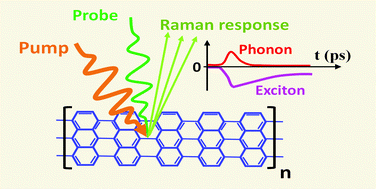 Graphical abstract: Exciton and phonon dynamics in highly aligned 7-atom wide armchair graphene nanoribbons as seen by time-resolved spontaneous Raman scattering