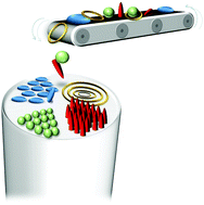 Graphical abstract: Self-assembly on optical fibers: a powerful nanofabrication tool for next generation “lab-on-fiber” optrodes