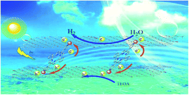 Graphical abstract: The study of a novel cobalt-implanted pyridylporphyrin/graphene oxide nanohybrid for enhanced photocatalytic hydrogen evolution and its electron transfer mechanism