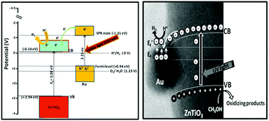 Graphical abstract: Erratic charge transfer dynamics of Au/ZnTiO3 nanocomposites under UV and visible light irradiation and their related photocatalytic activities