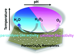 Graphical abstract: Porous Co3O4 nanoplates with pH-switchable peroxidase- and catalase-like activity