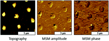 Graphical abstract: Vibrational response of clusters of Fe3O4 nanoparticles patterned on glass surfaces investigated with magnetic sample modulation AFM