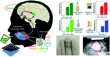 Graphical abstract: A self-powered brain-linked biosensing electronic-skin for actively tasting beverage and its potential application in artificial gustation