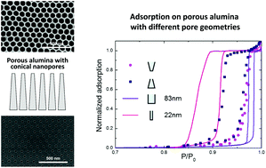 Graphical abstract: Adsorption on alumina nanopores with conical shape