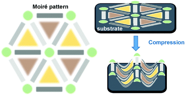 Graphical abstract: Moiré-templated strain patterning in transition-metal dichalcogenides and application in twisted bilayer MoS2