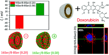 Graphical abstract: Surface charge tunable catanionic vesicles based on serine-derived surfactants as efficient nanocarriers for the delivery of the anticancer drug doxorubicin