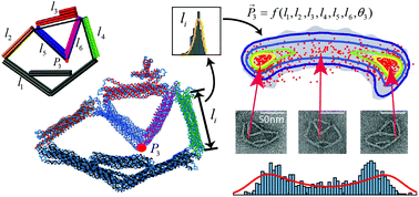 Graphical abstract: Uncertainty quantification of a DNA origami mechanism using a coarse-grained model and kinematic variance analysis