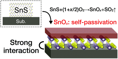Graphical abstract: Self-passivated ultra-thin SnS layers via mechanical exfoliation and post-oxidation