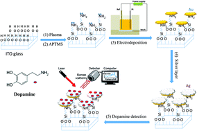 Graphical abstract: Reliable and quantitative SERS detection of dopamine levels in human blood plasma using a plasmonic Au/Ag nanocluster substrate