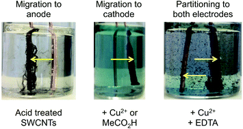 Graphical abstract: Aqueous electromigration of single-walled carbon nanotubes and co-electromigration with copper ions