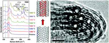 Graphical abstract: Templated direct growth of ultra-thin double-walled carbon nanotubes