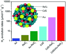 Graphical abstract: Largely enhanced photocatalytic hydrogen production rate of CdS/(Au–ReS2) nanospheres by the dielectric–plasmon hybrid antenna effect