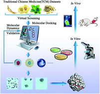Graphical abstract: Probing a dipeptide-based supramolecular assembly as an efficient camptothecin delivering carrier for cancer therapy: computational simulations and experimental validations