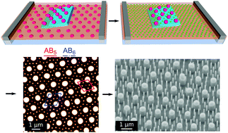 Graphical abstract: Tunable 2D binary colloidal alloys for soft nanotemplating