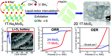 Graphical abstract: Metallic MoS2 nanosheets: multifunctional electrocatalyst for the ORR, OER and Li–O2 batteries
