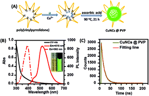Graphical abstract: PVP-templated highly luminescent copper nanoclusters for sensing trinitrophenol and living cell imaging