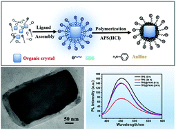 Graphical abstract: A general approach for encapsulating organic crystals in a polyaniline shell