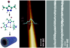 Graphical abstract: Self-assembly of supramolecular nanotubes/microtubes from 3,5-dimethyl-4-iodopyrazole for plasmonic nanoparticle organization