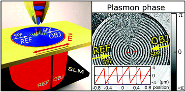 Graphical abstract: Near-field digital holography: a tool for plasmon phase imaging