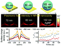Graphical abstract: Nanoscale tracking plasmon-driven photocatalysis in individual nanojunctions by vibrational spectroscopy
