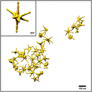 Graphical abstract: Understanding the role of AgNO3 concentration and seed morphology in the achievement of tunable shape control in gold nanostars
