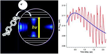 Graphical abstract: Monitoring the electric field in CdSe quantum dots under ultrafast interfacial electron transfer via coherent phonon dynamics
