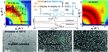 Graphical abstract: Self-assembly of a silicon-containing side-chain liquid crystalline block copolymer in bulk and in thin films: kinetic pathway of a cylinder to sphere transition