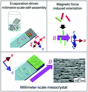 Graphical abstract: Biomimetic macroscopic mesocrystalline films produced by oriented assembly of nanorods under magnetic field