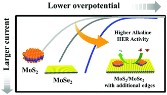 Graphical abstract: Engineering additional edge sites on molybdenum dichalcogenides toward accelerated alkaline hydrogen evolution kinetics