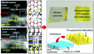 Graphical abstract: Remote homoepitaxy of ZnO microrods across graphene layers