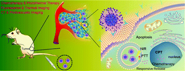 Graphical abstract: Folate receptor-targeted theranostic IrSx nanoparticles for multimodal imaging-guided combined chemo-photothermal therapy
