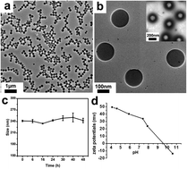 Graphical abstract: Effective gene delivery of shBMP-9 using polyethyleneimine-based core–shell nanoparticles in an animal model of insulin resistance