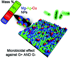 Graphical abstract: Tailored Ag–Cu–Mg multielemental nanoparticles for wide-spectrum antibacterial coating