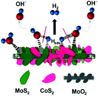 Graphical abstract: One-dimensional CoS2–MoS2 nano-flakes decorated MoO2 sub-micro-wires for synergistically enhanced hydrogen evolution
