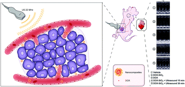 Graphical abstract: Ultrasound-controlled DOX-SiO2 nanocomposites enhance the antitumour efficacy and attenuate the toxicity of doxorubicin