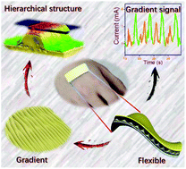 Graphical abstract: Skin-inspired flexible and high-sensitivity pressure sensors based on rGO films with continuous-gradient wrinkles