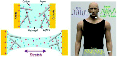 Graphical abstract: An ultra-stretchable, highly sensitive and biocompatible capacitive strain sensor from an ionic nanocomposite for on-skin monitoring