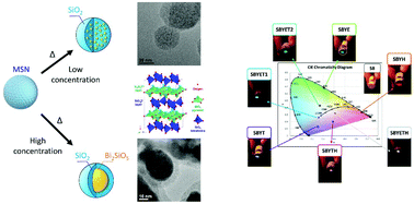 Graphical abstract: Bi2SiO5@g-SiO2 upconverting nanoparticles: a bismuth-driven core–shell self-assembly mechanism