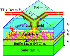 Graphical abstract: Terahertz phase jumps for ultra-sensitive graphene plasmon sensing