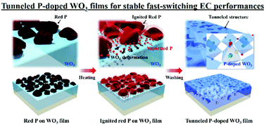 Graphical abstract: Novel tunneled phosphorus-doped WO3 films achieved using ignited red phosphorus for stable and fast switching electrochromic performances