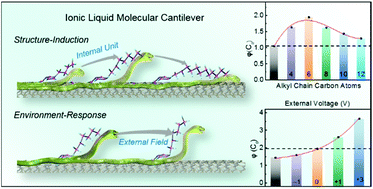 Graphical abstract: A 3D molecular cantilever based on interfacial self-assembly and the cobra-like actuation of long-chain imidazolium ionic liquids