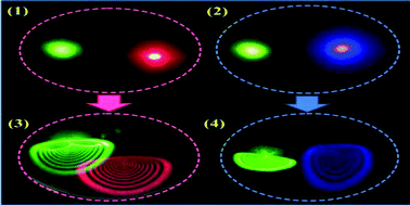 Graphical abstract: Nonlinear optical response, all optical switching, and all optical information conversion in NbSe2 nanosheets based on spatial self-phase modulation