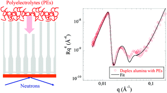 Graphical abstract: Duplex nanoporous alumina and polyelectrolyte adsorption: more insights from a combined neutron reflectivity and electron microscopy study