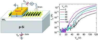 Graphical abstract: A WSe2 vertical field emission transistor