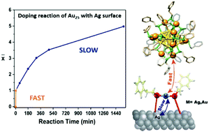Graphical abstract: Doping of thiolate protected gold clusters through reaction with metal surfaces