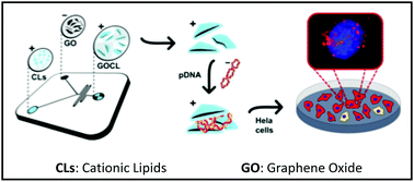 Graphical abstract: Microfluidic manufacturing of surface-functionalized graphene oxide nanoflakes for gene delivery